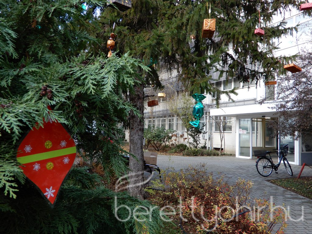 Fenyődíszítés a kórházban 32